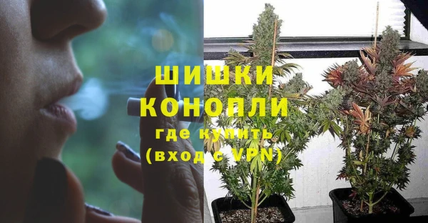 ГАЛЛЮЦИНОГЕННЫЕ ГРИБЫ Приозерск