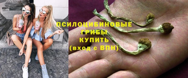 экстази Алексин